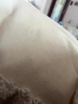 hengst2312 online show from February 21, 11:01 am