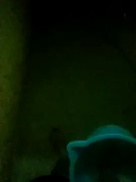 Night View online show from November 14, 5:36 pm