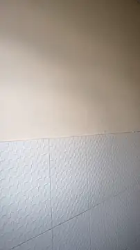 JapeDoBryan online show from May 15, 10:56 am