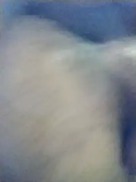 danielverga11 online show from December 16, 8:21 am