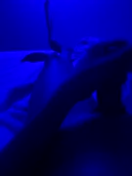 bigbola304 online show from January 8, 9:58 am