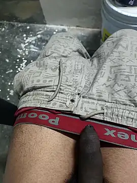 omni 333 online show from February 4, 1:17 pm