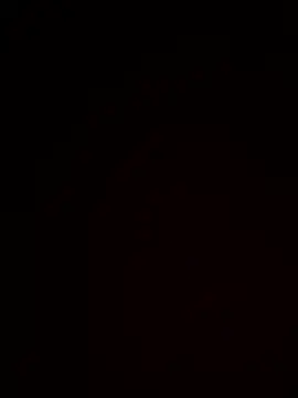 Lincolndraft online show from April 20, 8:17 am