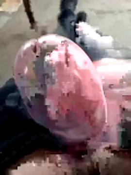 mar4oto1 online show from March 14, 11:39 am