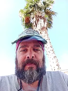 serpensy online show from June 17, 8:38 am