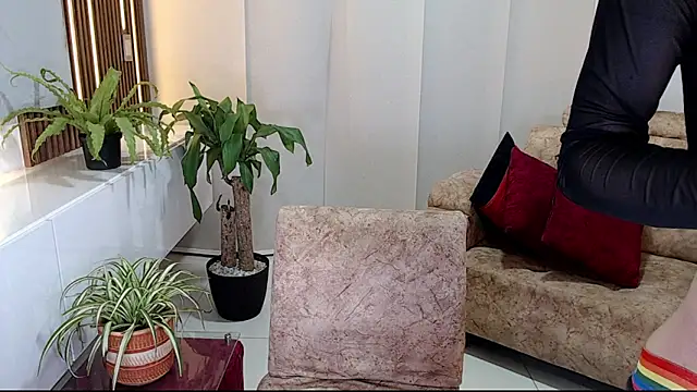 cod dolll online show from November 25, 12:34 am