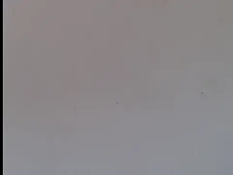 Snapshot of Alejandroo_22 chatting on October 15, 8:49 pm Alejandroo 22 online show from October 15, 8:49 pm