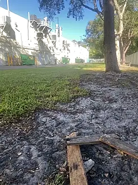 takiyaki28 online show from February 24, 8:53 pm