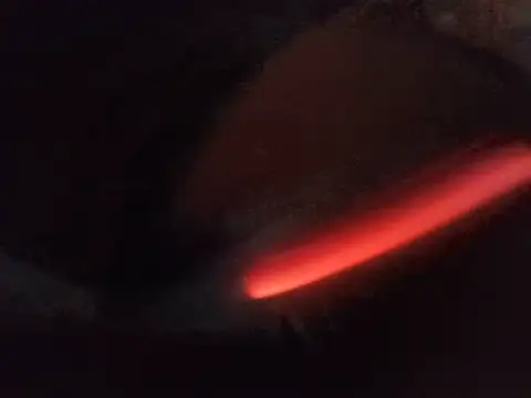 DawidSpandel online show from May 21, 1:56 am