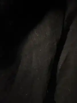 pikuslordpll online show from December 23, 8:12 am