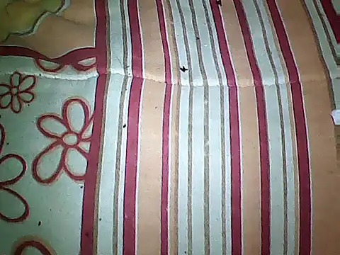 20cmloiro online show from September 16, 3:51 am