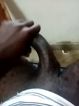 dickcurved38 online show from November 30, 3:30 am