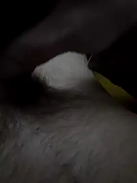 nix95 online show from February 1, 5:33 pm