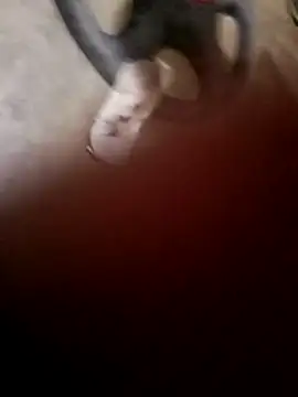 leal15 online show from December 3, 1:55 am