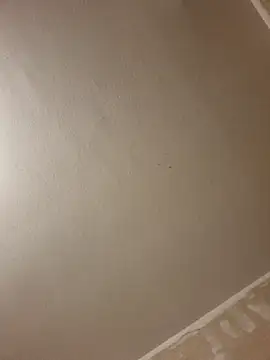 gazb90 online show from January 14, 8:12 pm