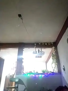 perrotjuui97 online show from November 15, 1:51 am