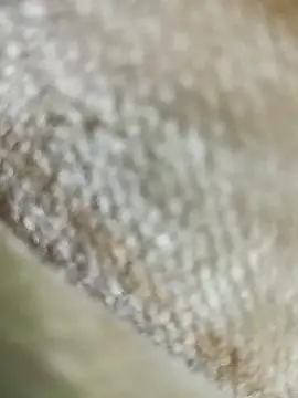 Dickdelhi online show from November 30, 1:24 pm