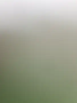 guridosul051 online show from April 20, 11:13 am