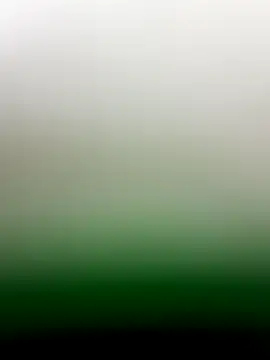 guridosul051 online show from April 13, 11:55 am