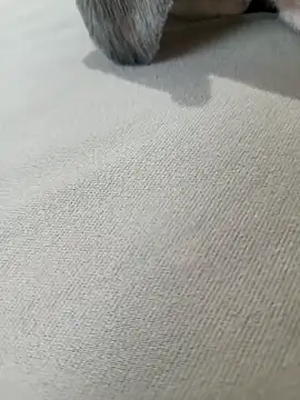 SIGILOCUIABA online show from March 19, 6:33 pm