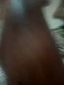 karnals451 online show from March 7, 3:54 pm