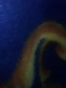 Aq2006 online show from March 4, 12:50 am