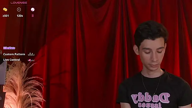 VicenteFerrer online show from February 22, 3:08 am