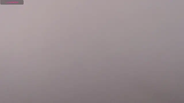 guy11guy online show from October 10, 7:24 am