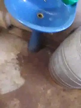 Pogga666 online show from November 9, 5:33 am