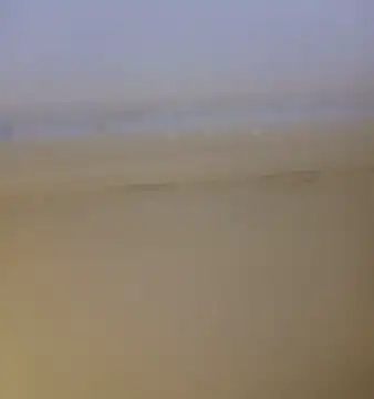 ramesh65 online show from January 14, 8:34 pm