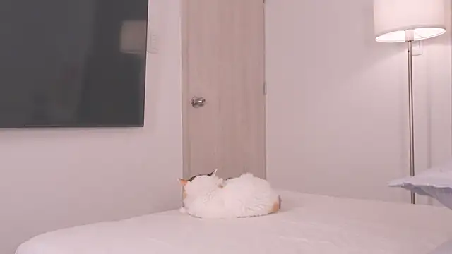 moon angels online show from February 23, 3:57 pm