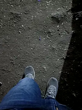 indian pavi online show from February 9, 5:06 pm