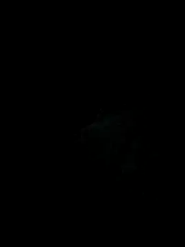 Goalsmoments2 online show from March 8, 5:55 am