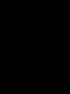 Sathibangla085x online show from October 12, 7:30 pm