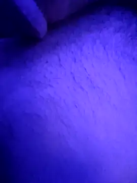 elmani4 online show from October 6, 11:31 pm