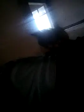 StatingBrigade online show from February 9, 6:29 am