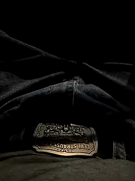 HorneyCowboy154 online show from November 14, 2:04 am