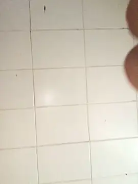 Novinhodotadomg online show from November 5, 8:11 pm