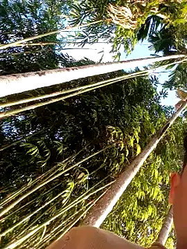 Johlrd online show from December 17, 2:08 am