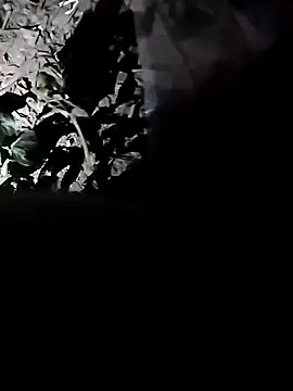 PixelPlayboy online show from November 7, 1:47 pm