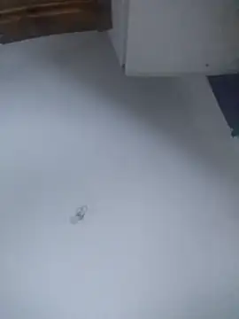 Ariihot online show from February 4, 5:46 am