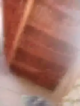 HOT-MUNDA online show from February 9, 9:03 am