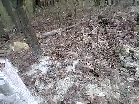 fischnet online show from September 20, 10:54 pm