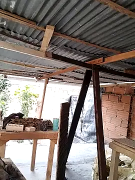 hoteder online show from November 24, 3:57 pm