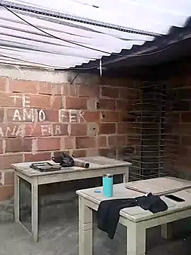 hoteder online show from November 21, 11:09 am