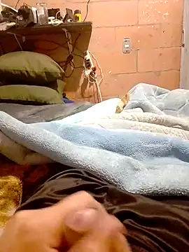 Zesa7 online show from September 23, 12:37 pm