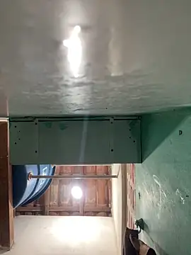 spiderfindom online show from January 5, 7:39 pm