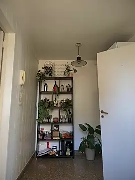 jeropaArgent01 online show from September 9, 3:33 pm