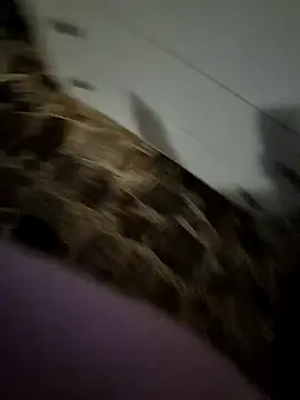 Patta12 online show from February 25, 7:59 pm