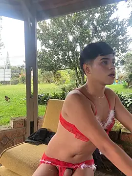 Matt Swett online show from November 15, 3:03 pm